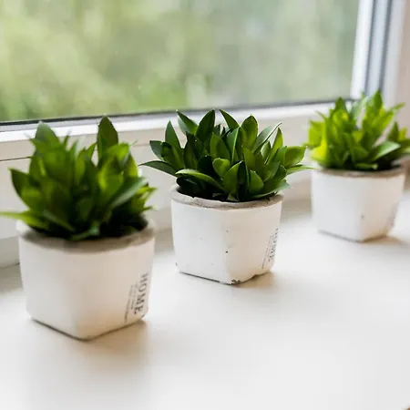 Apartmán Osiedle Sobieskiego Comfort By Bookinghost Poznaň